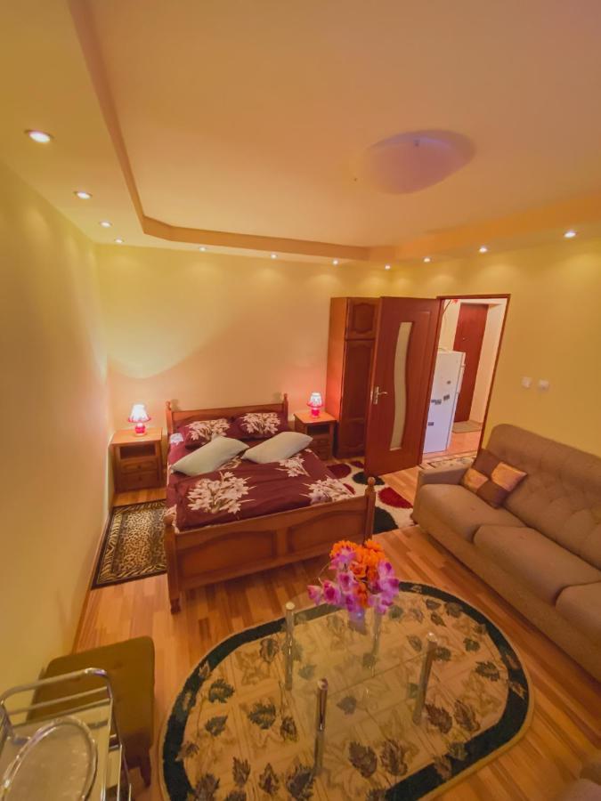 Apartament Cristian Geoagiu Băi Eksteriør billede