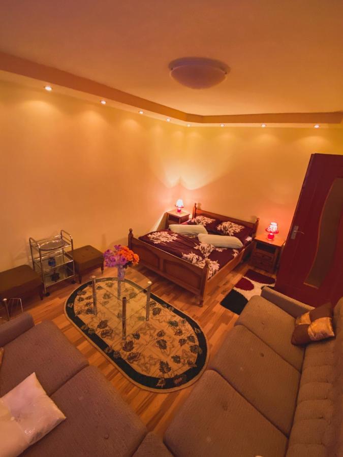 Apartament Cristian Geoagiu Băi Eksteriør billede