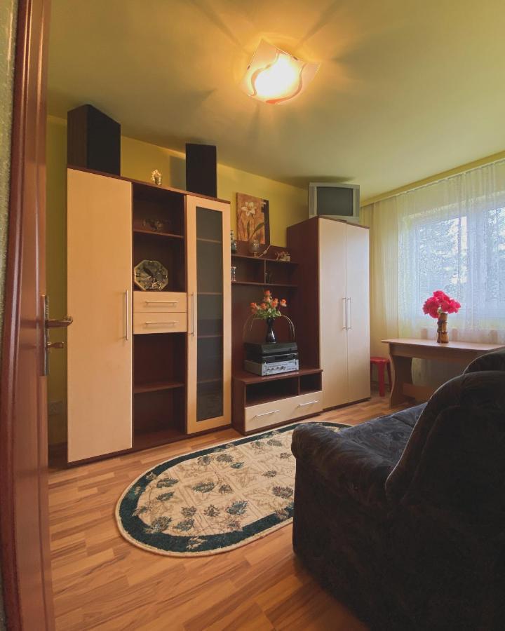 Apartament Cristian Geoagiu Băi Eksteriør billede