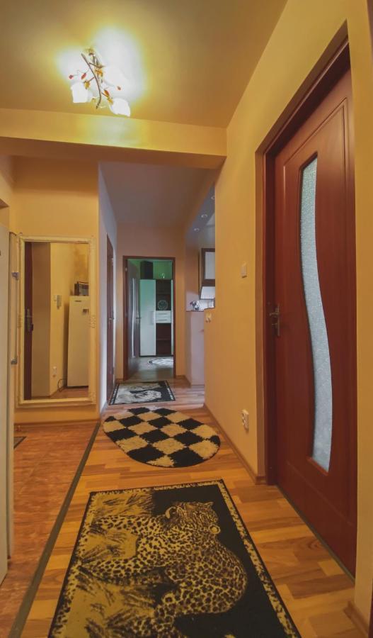 Apartament Cristian Geoagiu Băi Eksteriør billede